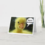 CARTÃO O DUCKLING DIZ QUE ESPERO QUE SEU ANIVERSÁRIO SEJA<br><div class="desc">ESTA É A EXCELENTE PARA A CRIANÇA NA SUA VIDA POR "QUALQUER ANIVERSÁRIO" QUE ELES PODEM ESTAR CELEBRANDO PARA ESTE PATO É SÉRIO...  OLHA PARA ESSE ROSTO!</div>