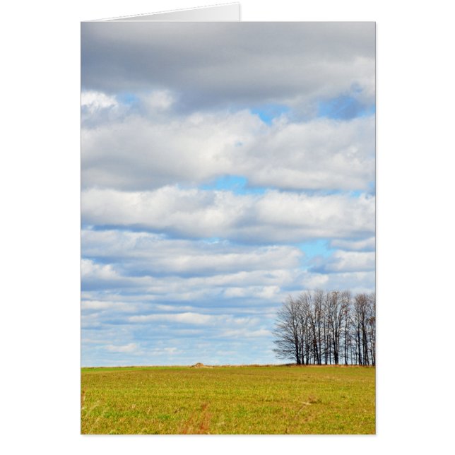 Cartão O fim da linha da árvore (Frente)