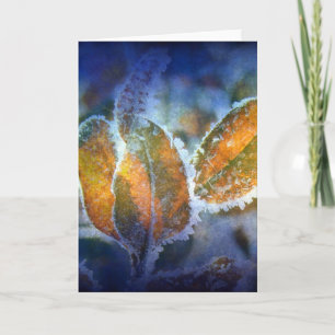 Cartão O frio do inverno