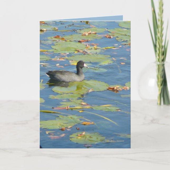 Cartão O galeirão (Frente)