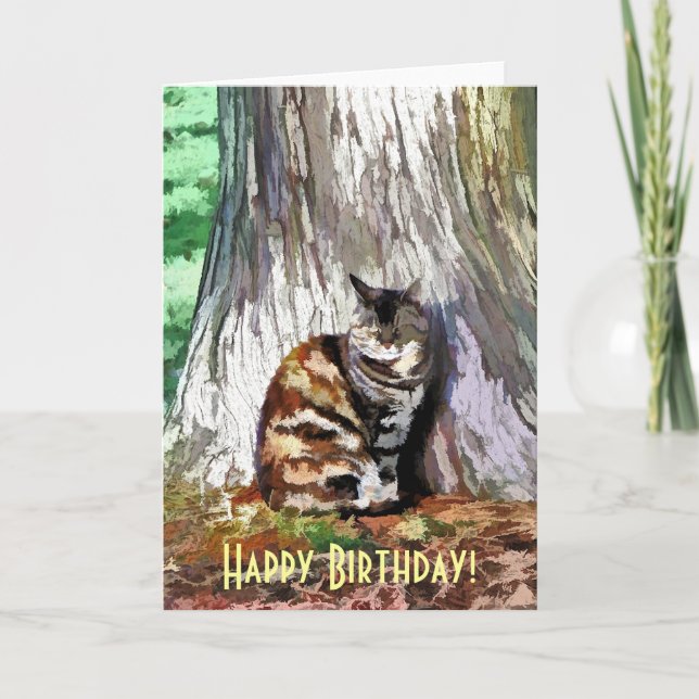 CARTÃO O GATO (Frente)