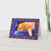 O Gato de Tabby Laranja Fica Bem para o Gato Lover
