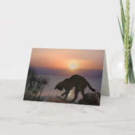 Cartão O gato de Yeshua: Mari em Capernaum