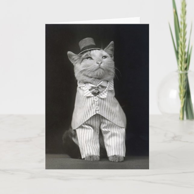 Cartão O Gato Elegante, 1906 (Frente)