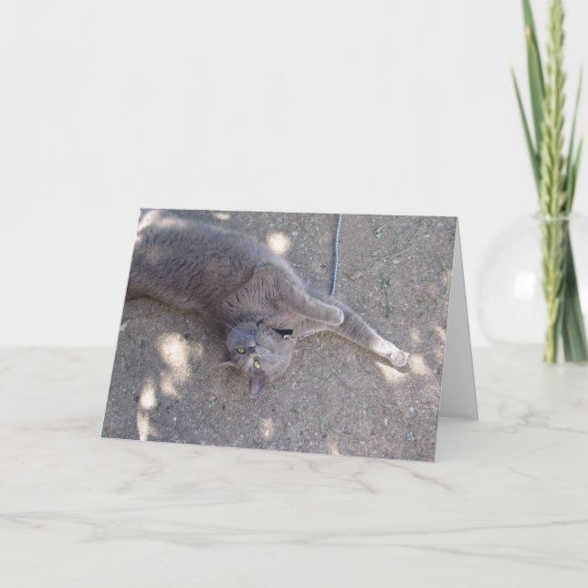 Cartão O gato quer o bolo de aniversário! (Frente)