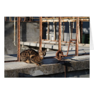 Cartão O Gato Rusty