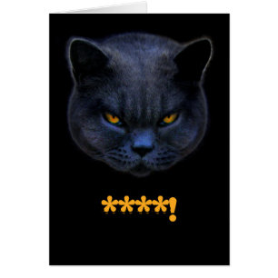Cartão O gato transversal engraçado diz o ****!