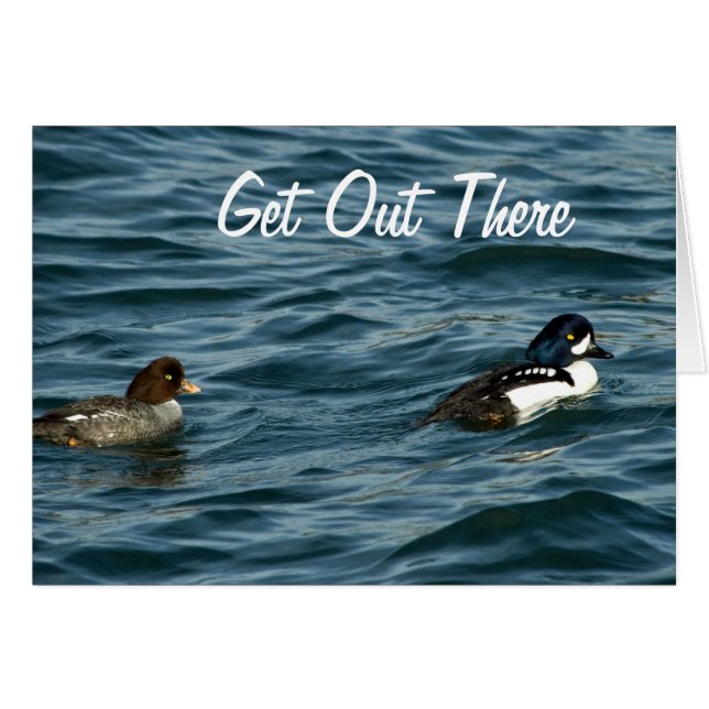 Cartão O Goldeneye ducks para fora lá (Frente Horizontal)