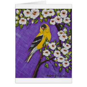 Cartão O Goldfinch americano