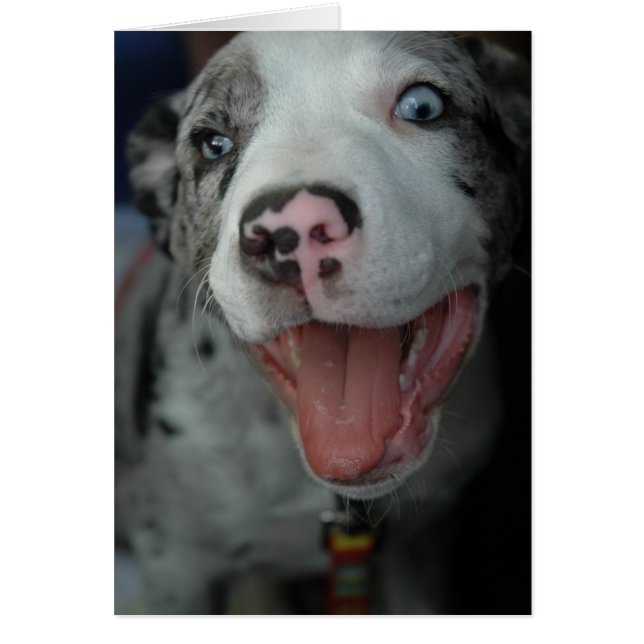 Cartão O grande prazer (Frente)