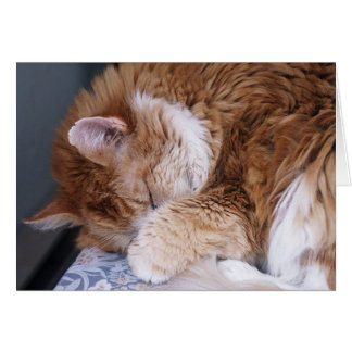 Cartão O Halleluiah