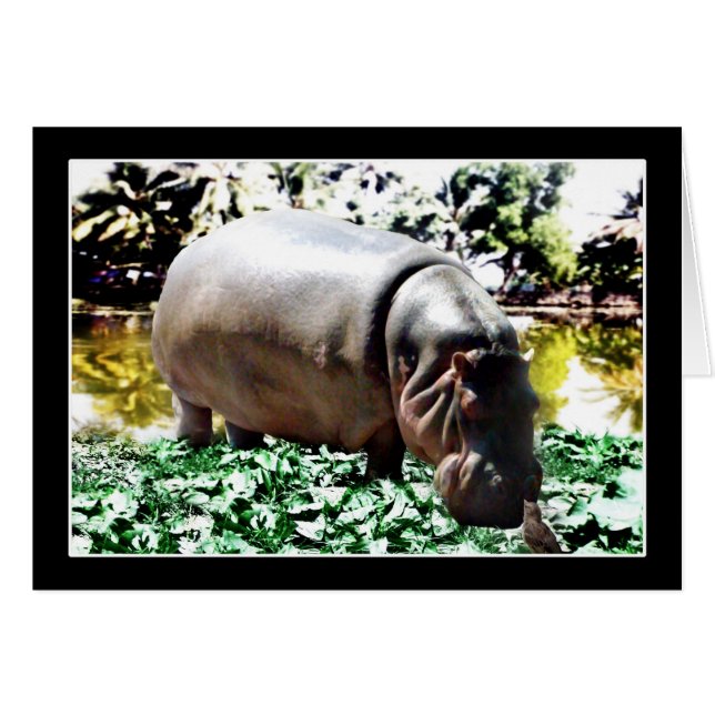 Cartão O Hippo E O Pássaro (Frente Horizontal)