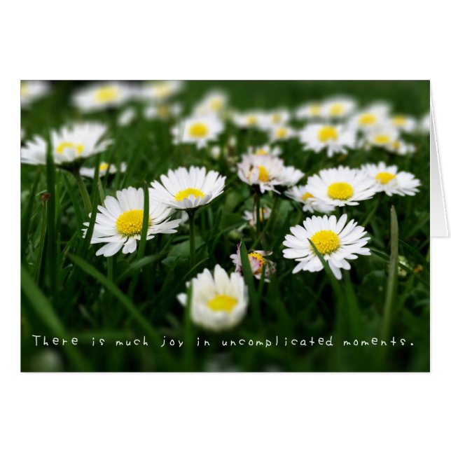 Cartão O incrível Diário das Aventuras de Amelia (Frente Horizontal)