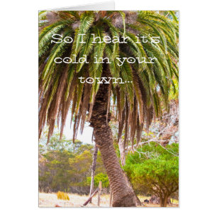 Cartão O inverno amola