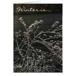 Cartão O inverno é
