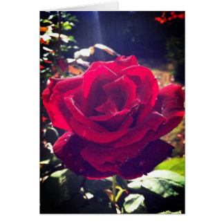 Cartão O jardim aumentou