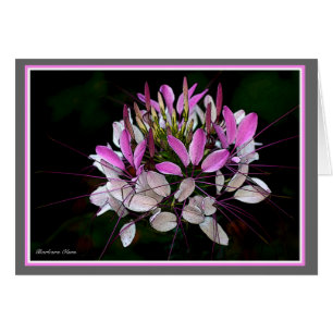 Cartão O jardim de Lulu