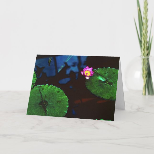 Cartão O Koi (Frente)