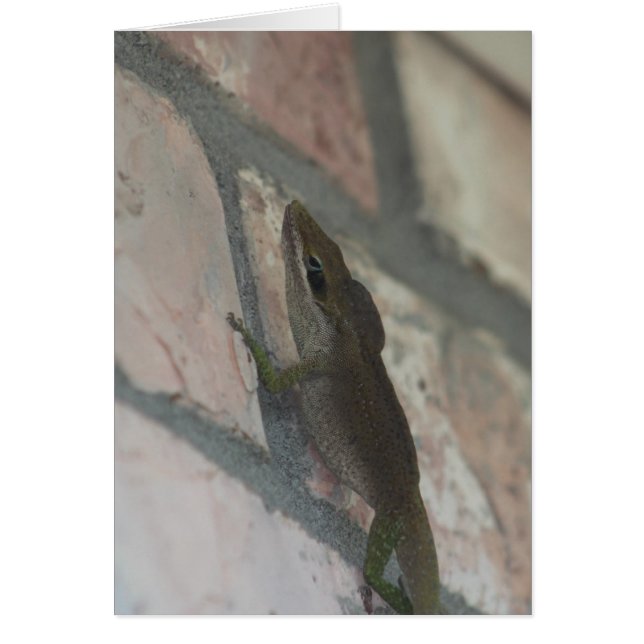 Cartão O Lagarto Escuro (Frente)