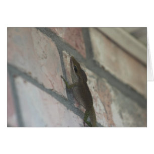 Cartão O lagarto escuro