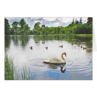 Cartão O Lago Tranquil
