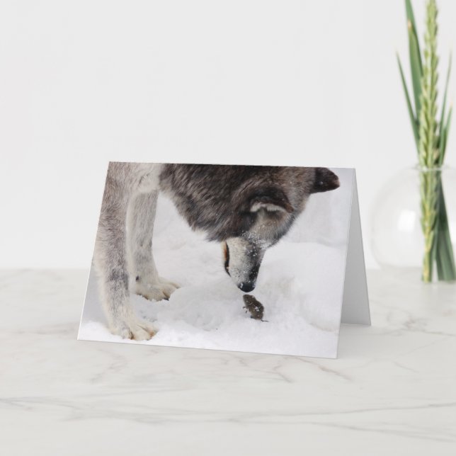 Cartão O lobo encontra o rato (Frente)