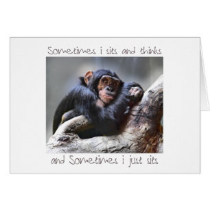 Cartão O macaco senta-se