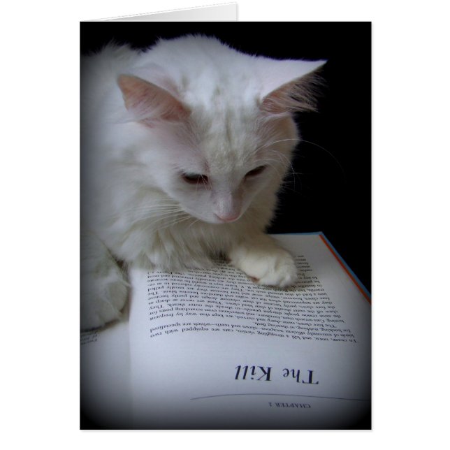 CARTÃO O MATAR (Frente)