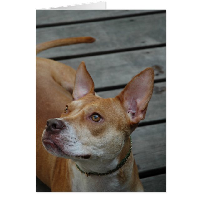 Cartão O melhor no homem (Frente)