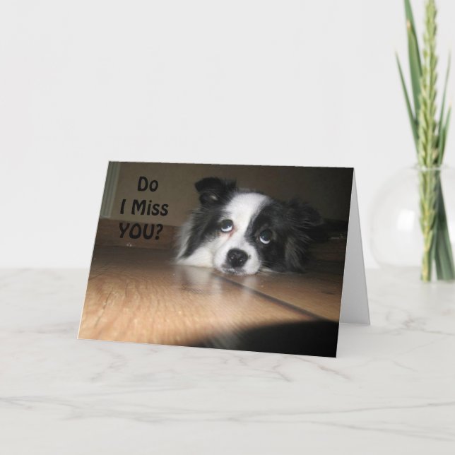 CARTÃO "O MEU LATIDO ESTÁ QUEBRADO", SINTO MUITO A SUA FA (Frente)