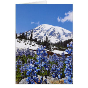 Cartão O Monte Rainier no ponto do paraíso