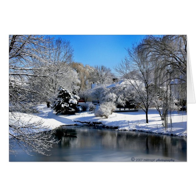 Cartão O mundo branco fala sem som. (Frente Horizontal)