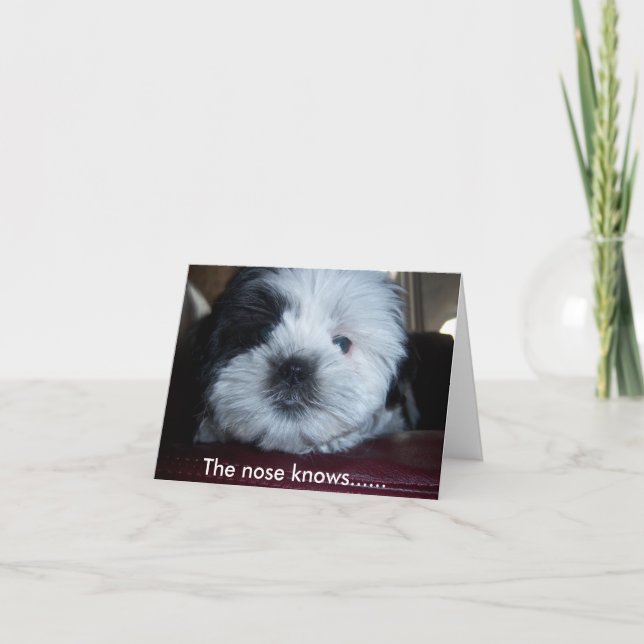 Cartão O nariz sabe... (Frente)