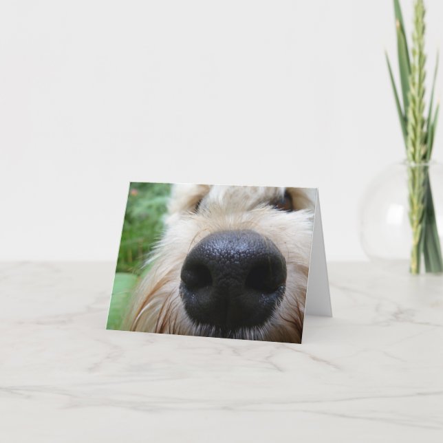 Cartão O nariz sabe! (Frente)