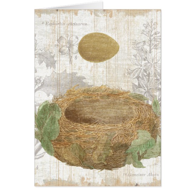 Cartão O ninho de um pássaro com um ovo de Brown (Frente)