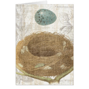 Cartão O ninho de um pássaro com um ovo decorativo