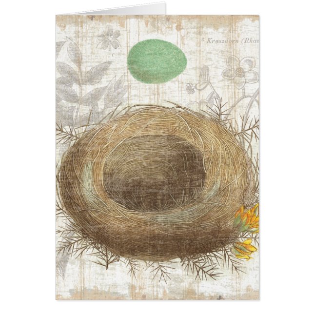 Cartão O ninho de um pássaro com um ovo verde (Frente)
