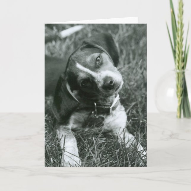 Cartão O olhar (Frente)