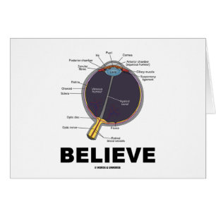 Cartão O olho acredita (o humor anatômico)