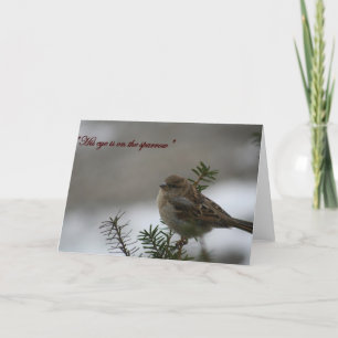 Cartão "O olho dele está no pardal"