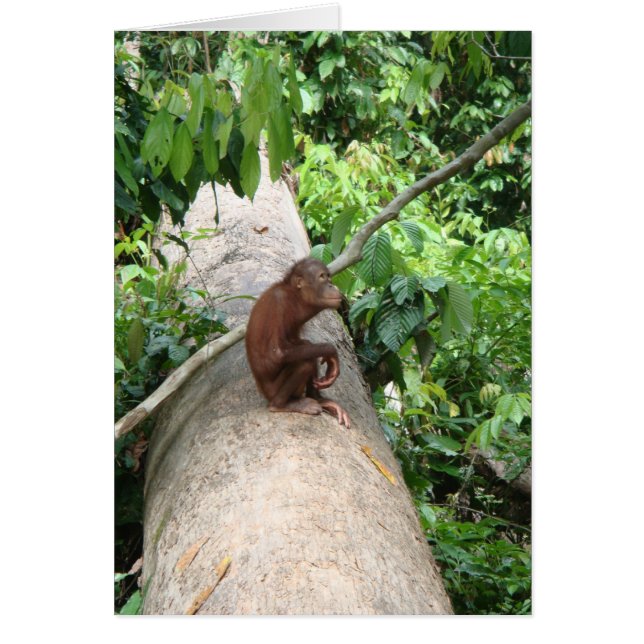 Cartão O orangotango esquece (Frente)