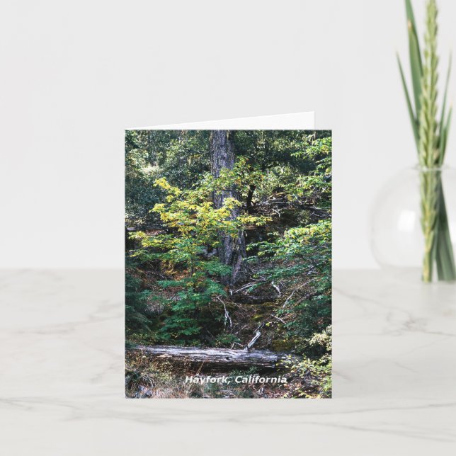 Cartão O outono está aqui....... (Frente)