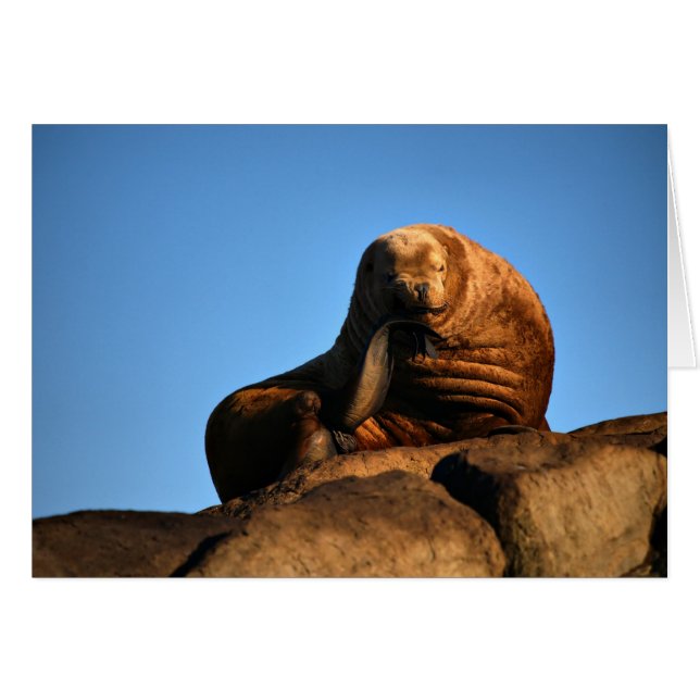 Cartão O Pensador (Frente Horizontal)