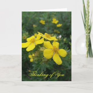 Cartão O pensamento de você carda