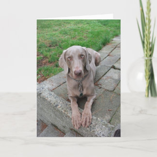 Cartão O pensamento de você carda