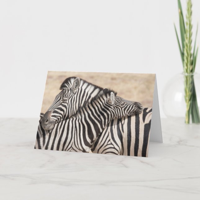 Cartão O Pescoço de Zebras de Burchell (Frente)