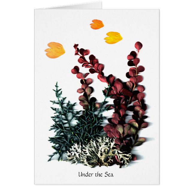 Cartão O Phantasies de Phaedra - sob o mar (Frente)