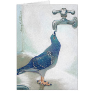 Cartão O Pidgeon de Frank