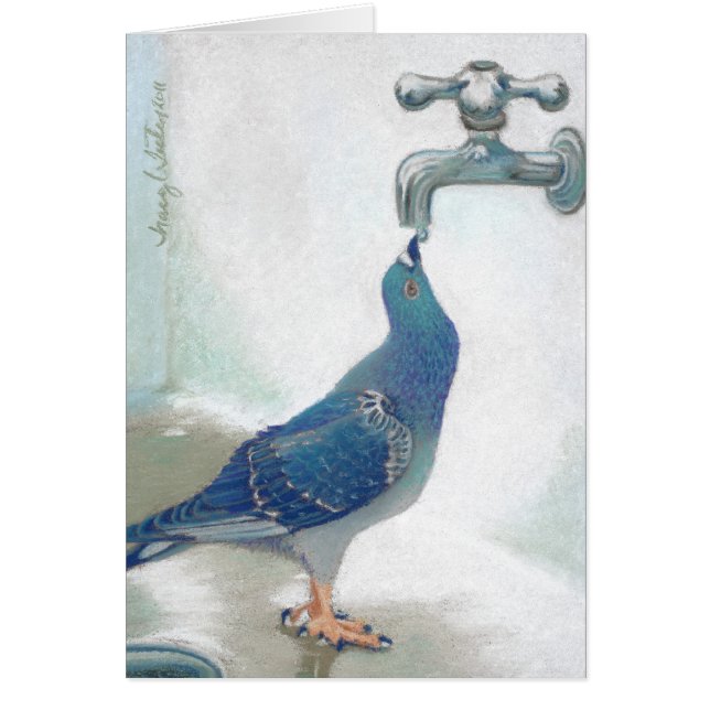 Cartão O Pidgeon de Frank (Frente)