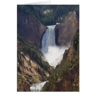 Cartão O poder de Yellowstone